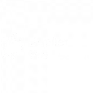 Belgian Pro League