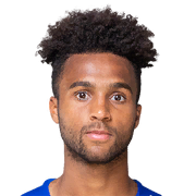 Erik Palmer-Brown FC 25 Rating