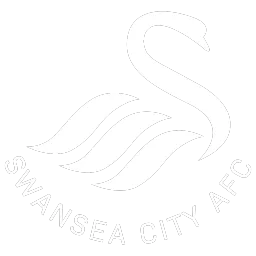 Swansea City
